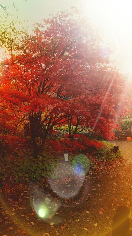 Dursley House Hotel Whitland Bagian luar foto